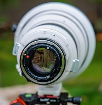 sunandsilver-Canon-FD-200mm-f18-2025-442