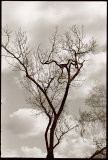 Life-Flow-JALee_2021_05_15_001