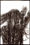 Life-Flow-JALee_2021_05_15_061-2