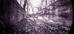 Holga 012