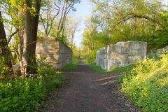 IMG_8833