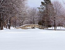 JAL_16_01_26_6973-Edit