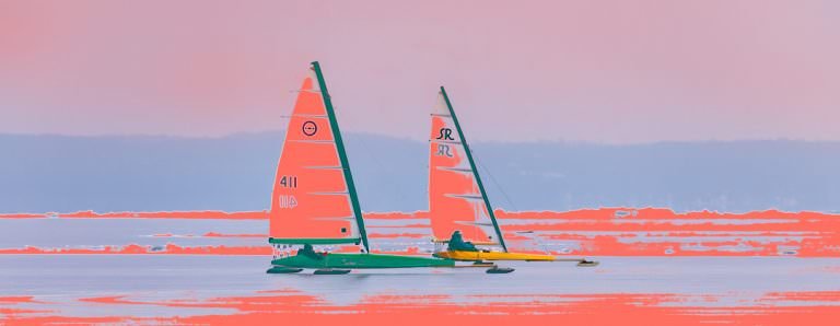 Living Coral – Pantone Color for 2019