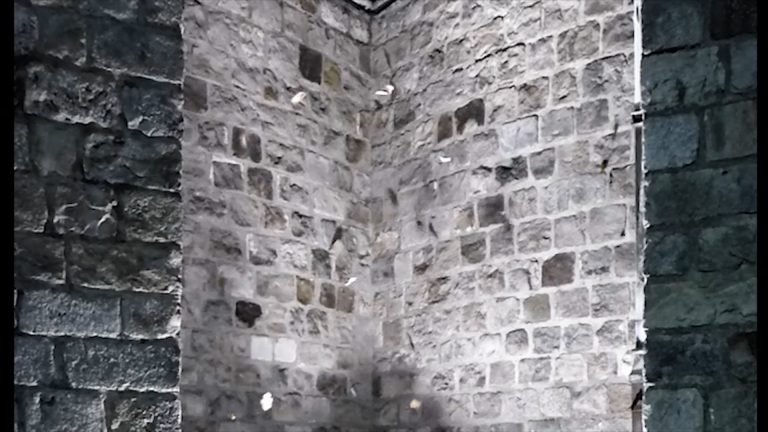 Winter Leaves in Ieper