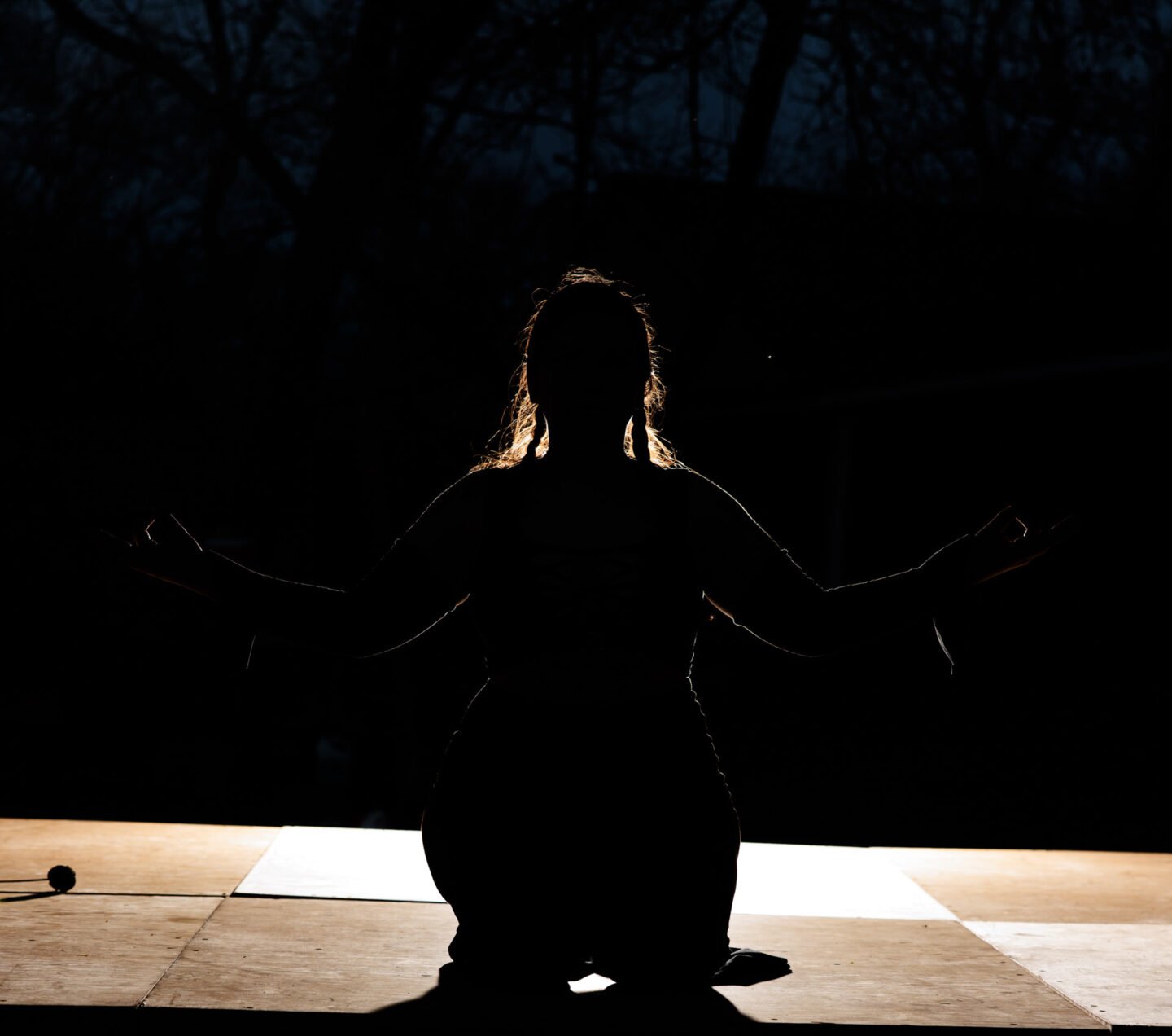 backlit silhouette of a woman model with a firefly