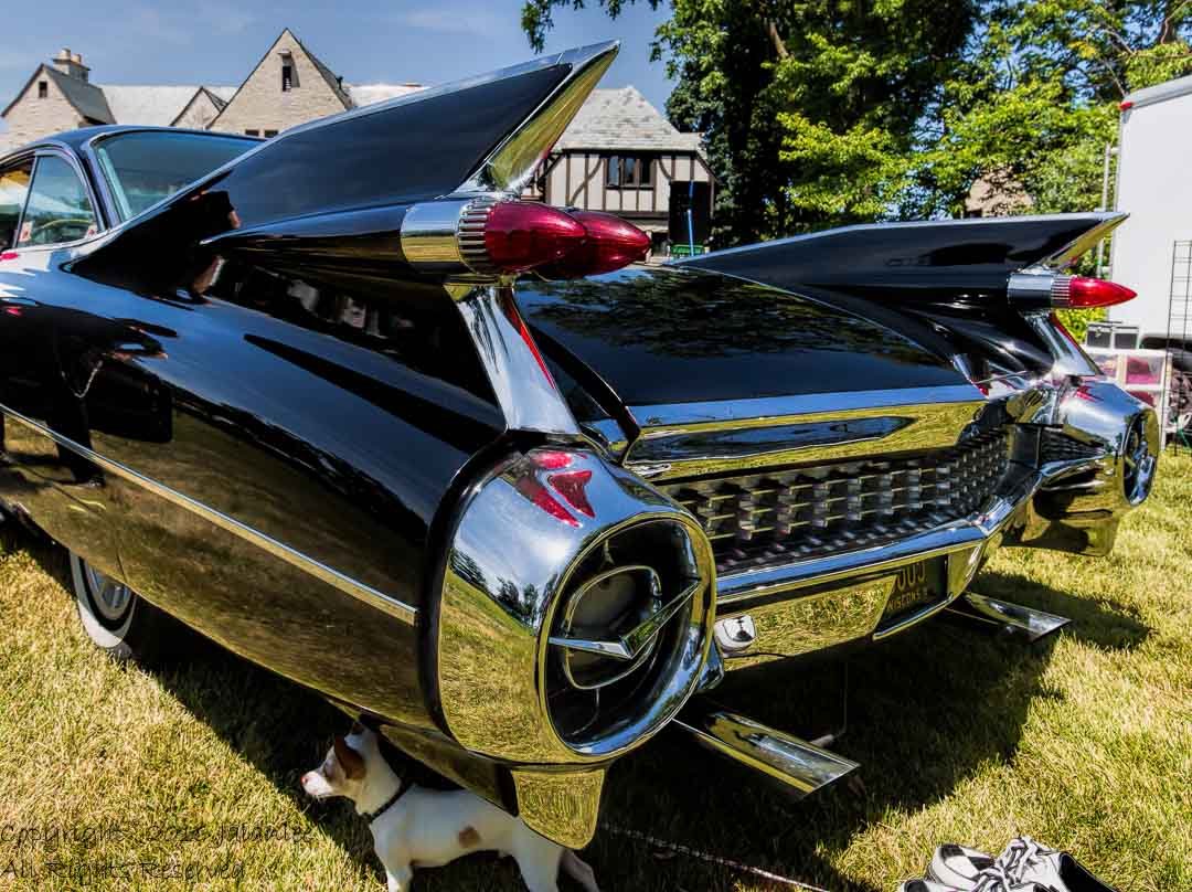 Black_Cadillac_-_Wifee_and_the_Huzz_Bands-3